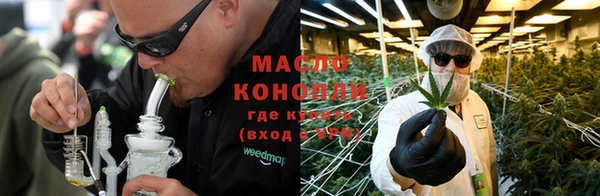 гашик Гусь-Хрустальный
