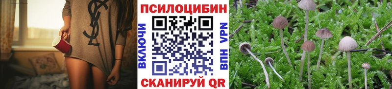 ОМГ ОМГ как зайти  Шадринск  Псилоцибиновые грибы Psilocybe  купить наркотик 